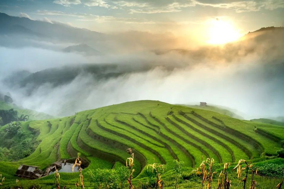 Kho gạo của Võ Thị Loan 1989